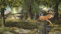 Big Buck Hunter Arcade thumbnail 2