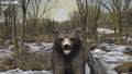 Big Buck Hunter Arcade thumbnail 7