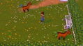 My Universe: Green Adventure - Farmer Friends thumbnail 8