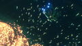 Rebel Galaxy Outlaw <span class="ext" style="background-color: #2a475e; color: #FFFFFF;">STEAM</span> <span class="ext ext_digital">digital</span> thumbnail 2
