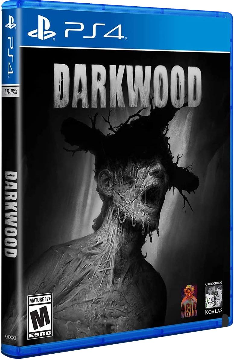 Darkwood PlayStation 4