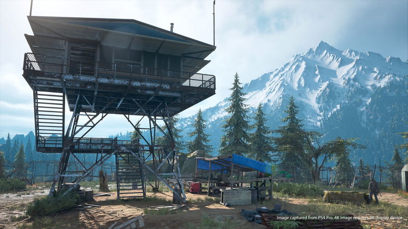 Days Gone (Latam Cover) image 7