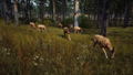Way of the Hunter thumbnail 3