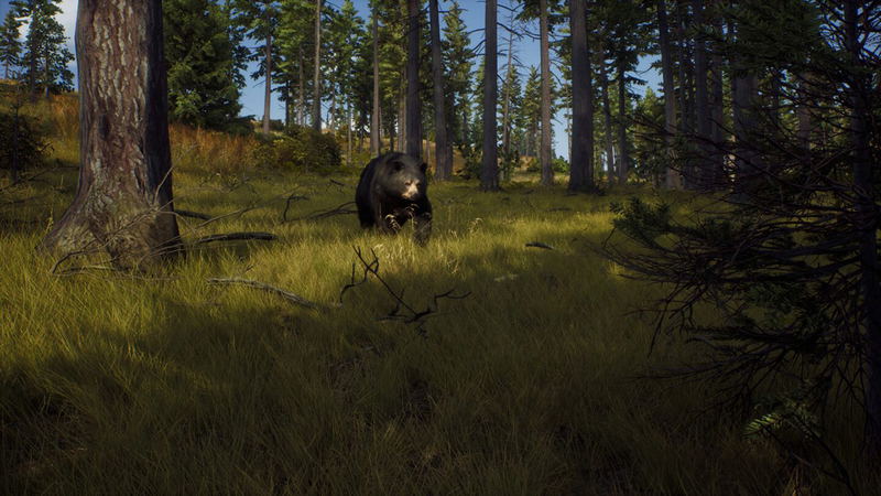 Way of the Hunter (DVD-ROM) image 6