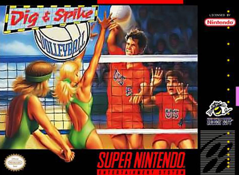 Dig & Spike Volleyball image 1