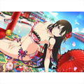 Shinobi Master Senran Kagura New Link B2 Wall Scroll: Kagura Swimsuit 2019 thumbnail 1