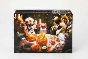 Overlord 16 [Special Edition with Three-sided Back Case Hanmori Fairy Goddess (Bottom)]_