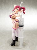 World's End Harem 1/6 Scale Pre-Painted Figure: Akane Ryuzoji Dress-up Nurse thumbnail 8