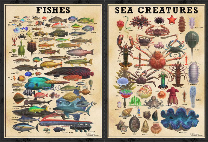 Animal Crossing: New Species On The Island image 6