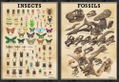 Animal Crossing: New Species On The Island thumbnail 7