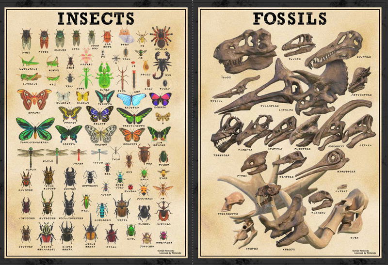 Animal Crossing: New Species On The Island image 7