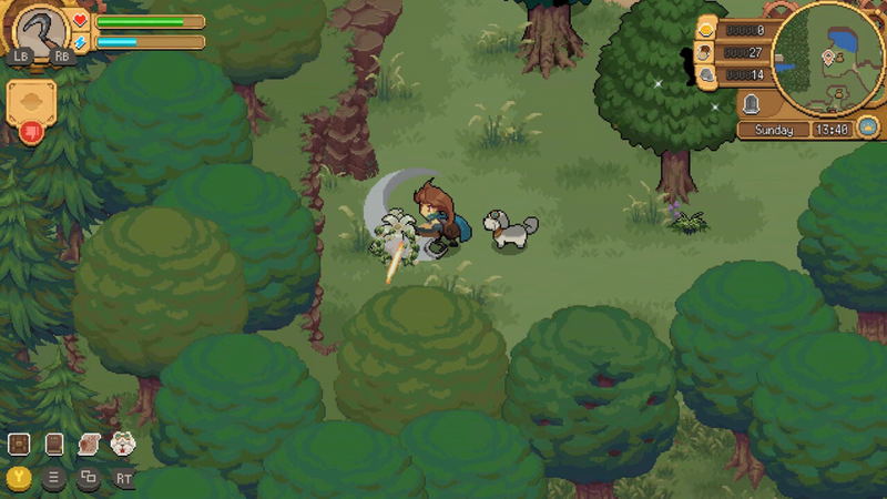 Potion Permit image 10