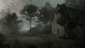 Saint Kotar thumbnail 2