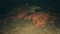 Saint Kotar thumbnail 5