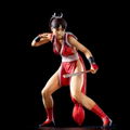 THE KING OF COLLECTORS'24 Fatal Fury Special Pre-Painted Figure: Mai Shiranui Normal Color thumbnail 1