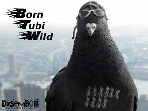 Born Tubi Wild_