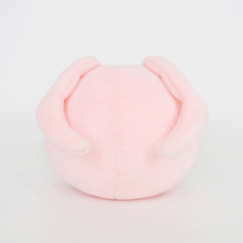 Digimon Adventure Plush DG18: Koromon (S Size) image 4