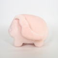 Digimon Adventure Plush DG24: Tokomon (S Size) thumbnail 3