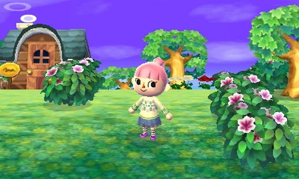 Animal Crossing: New Leaf image 9