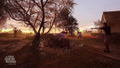 The Texas Chain Saw Massacre thumbnail 12