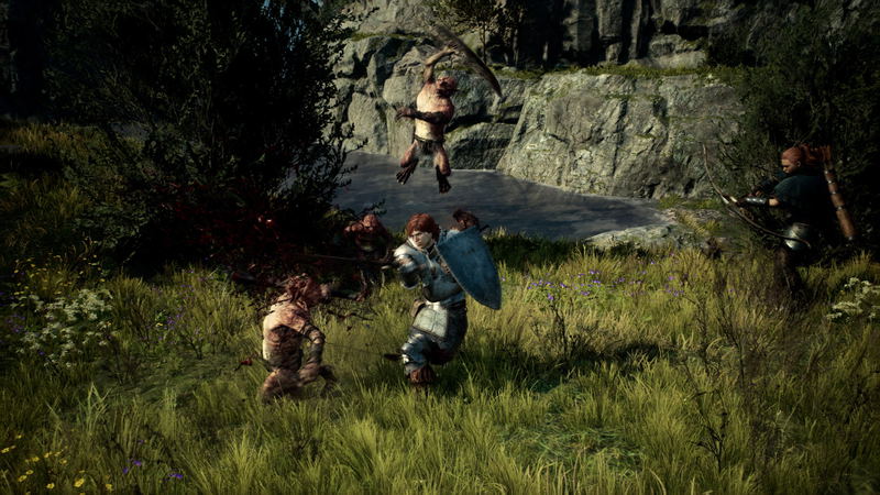 Dragon's Dogma II image 4