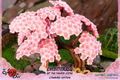Okami PVC Painted Statue: Okamiden - Chibiterasu [Standard Edition] thumbnail 27