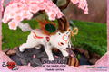 Okami PVC Painted Statue: Okamiden - Chibiterasu [Standard Edition] thumbnail 31
