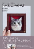 Portrait Of A Cat Born From Wool Felt How To Make A Wakuneko thumbnail 1