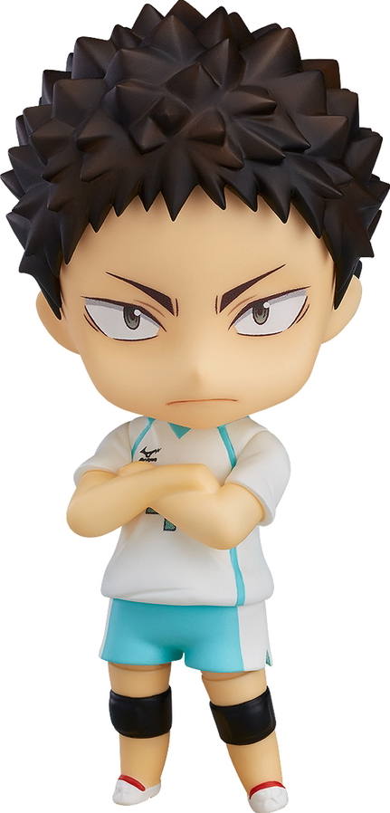 nendoroid iwaizumi