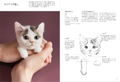 Portrait Of A Cat Born From Wool Felt How To Make A Wakuneko thumbnail 11
