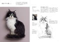 Portrait Of A Cat Born From Wool Felt How To Make A Wakuneko thumbnail 12