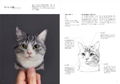 Portrait Of A Cat Born From Wool Felt How To Make A Wakuneko thumbnail 13
