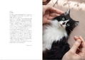 Portrait Of A Cat Born From Wool Felt How To Make A Wakuneko thumbnail 2