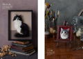 Portrait Of A Cat Born From Wool Felt How To Make A Wakuneko thumbnail 5