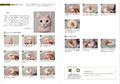 Portrait Of A Cat Born From Wool Felt How To Make A Wakuneko thumbnail 8