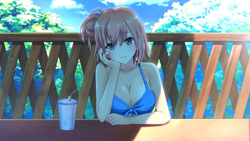 Yahari Game Demo Ore no Seishun Love-Kome wa Machigatteiru. & Zoku: Oatome Set image 11