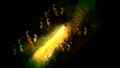 Yomawari: Lost in the Dark [Deluxe Edition] thumbnail 4