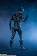 S.H.Figuarts Kamen Rider Black Sun: Kamen Rider Black Sun thumbnail 9