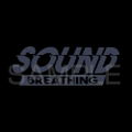 Demon Slayer: Kimetsu no Yaiba - Sound Breathing Tengen Uzui T-shirt Black (L Size) thumbnail 4