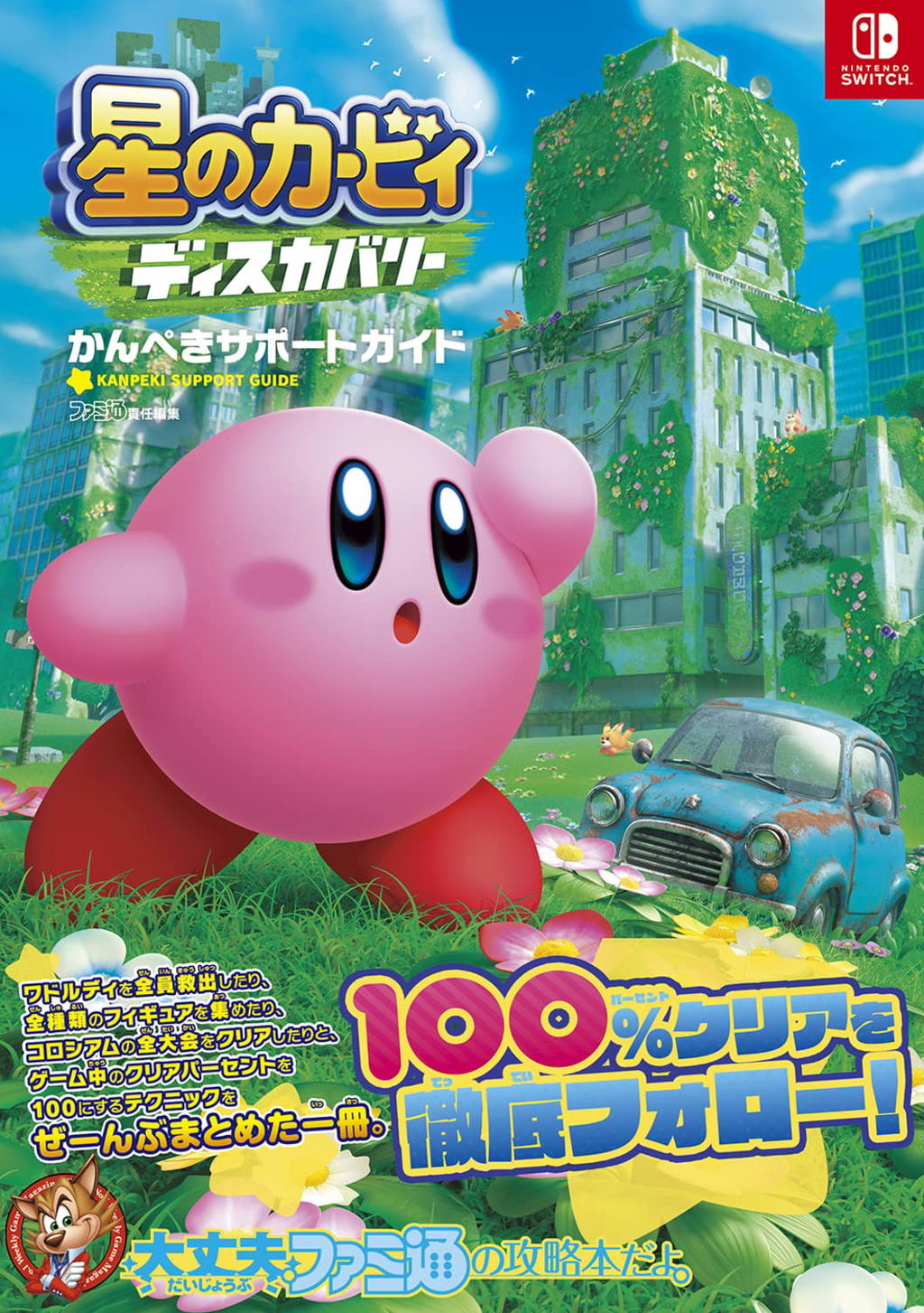 Kirby Discovery Kanpeki Support Guide