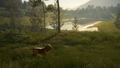 TheHunter: Call of the Wild - Bloodhound (DLC) <span class="ext" style="background-color: #B0000F; color: #FFFFFF;">DLC</span> <span class="ext" style="background-color: #2a475e; color: #FFFFFF;">STEAM</span> <span class="ext ext_digital">digital</span> thumbnail 9