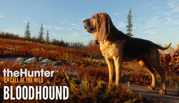 TheHunter: Call of the Wild - Bloodhound (DLC) <span class="ext" style="background-color: #B0000F; color: #FFFFFF;">DLC</span> <span class="ext" style="background-color: #2a475e; color: #FFFFFF;">STEAM</span> <span class="ext ext_digital">digital</span> image 1