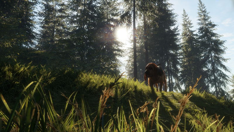 TheHunter: Call of the Wild - Bloodhound (DLC) <span class="ext" style="background-color: #B0000F; color: #FFFFFF;">DLC</span> <span class="ext" style="background-color: #2a475e; color: #FFFFFF;">STEAM</span> <span class="ext ext_digital">digital</span> image 3