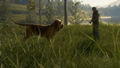 TheHunter: Call of the Wild - Bloodhound (DLC) <span class="ext" style="background-color: #B0000F; color: #FFFFFF;">DLC</span> <span class="ext" style="background-color: #2a475e; color: #FFFFFF;">STEAM</span> <span class="ext ext_digital">digital</span> thumbnail 4