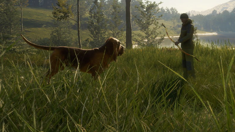 TheHunter: Call of the Wild - Bloodhound (DLC) <span class="ext" style="background-color: #B0000F; color: #FFFFFF;">DLC</span> <span class="ext" style="background-color: #2a475e; color: #FFFFFF;">STEAM</span> <span class="ext ext_digital">digital</span> image 4