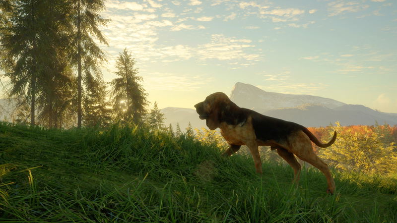 TheHunter: Call of the Wild - Bloodhound (DLC) <span class="ext" style="background-color: #B0000F; color: #FFFFFF;">DLC</span> <span class="ext" style="background-color: #2a475e; color: #FFFFFF;">STEAM</span> <span class="ext ext_digital">digital</span> image 5