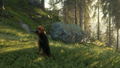 TheHunter: Call of the Wild - Bloodhound (DLC) <span class="ext" style="background-color: #B0000F; color: #FFFFFF;">DLC</span> <span class="ext" style="background-color: #2a475e; color: #FFFFFF;">STEAM</span> <span class="ext ext_digital">digital</span> thumbnail 6