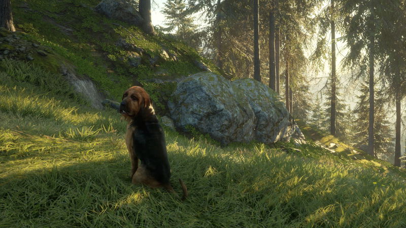TheHunter: Call of the Wild - Bloodhound (DLC) <span class="ext" style="background-color: #B0000F; color: #FFFFFF;">DLC</span> <span class="ext" style="background-color: #2a475e; color: #FFFFFF;">STEAM</span> <span class="ext ext_digital">digital</span> image 6