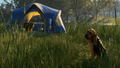 TheHunter: Call of the Wild - Bloodhound (DLC) <span class="ext" style="background-color: #B0000F; color: #FFFFFF;">DLC</span> <span class="ext" style="background-color: #2a475e; color: #FFFFFF;">STEAM</span> <span class="ext ext_digital">digital</span> thumbnail 8