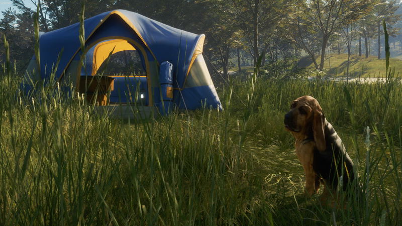 TheHunter: Call of the Wild - Bloodhound (DLC) <span class="ext" style="background-color: #B0000F; color: #FFFFFF;">DLC</span> <span class="ext" style="background-color: #2a475e; color: #FFFFFF;">STEAM</span> <span class="ext ext_digital">digital</span> image 8